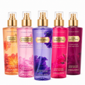 SPLASH VICTIRIA´S SECRET TRADICIONAL
